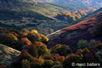 cevennes, automne, 2025,